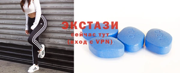 индика Карпинск