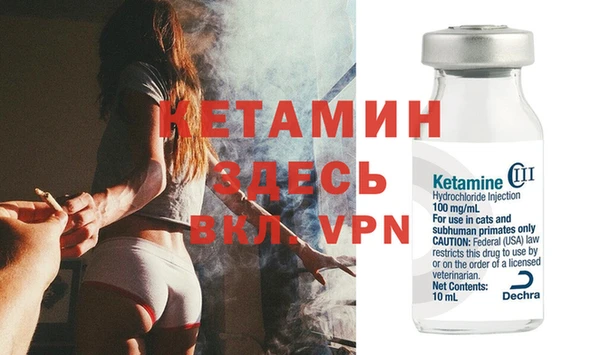 индика Карпинск