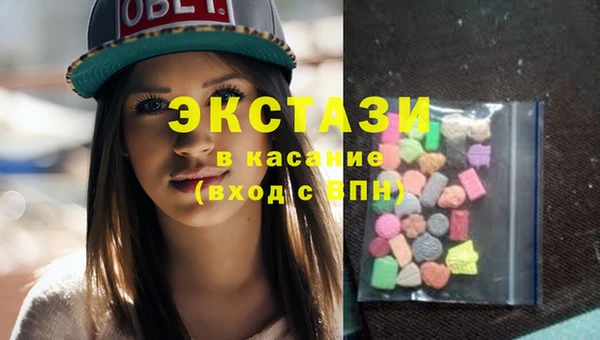 индика Карпинск