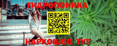 шишки Ирбит