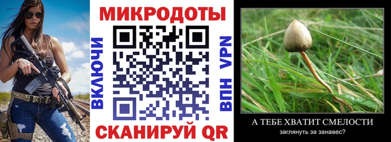 Галлюциногенные грибы прущие грибы  Тамбов 
