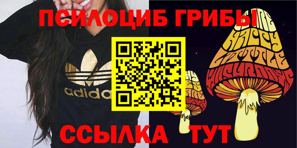 Псилоцибиновые грибы мухоморы  Вход с VPN  Тамбов 